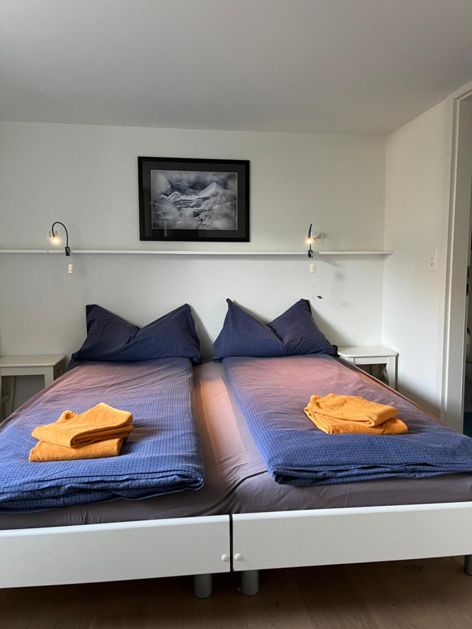 Chalet Viola Wengen Kültér fotó