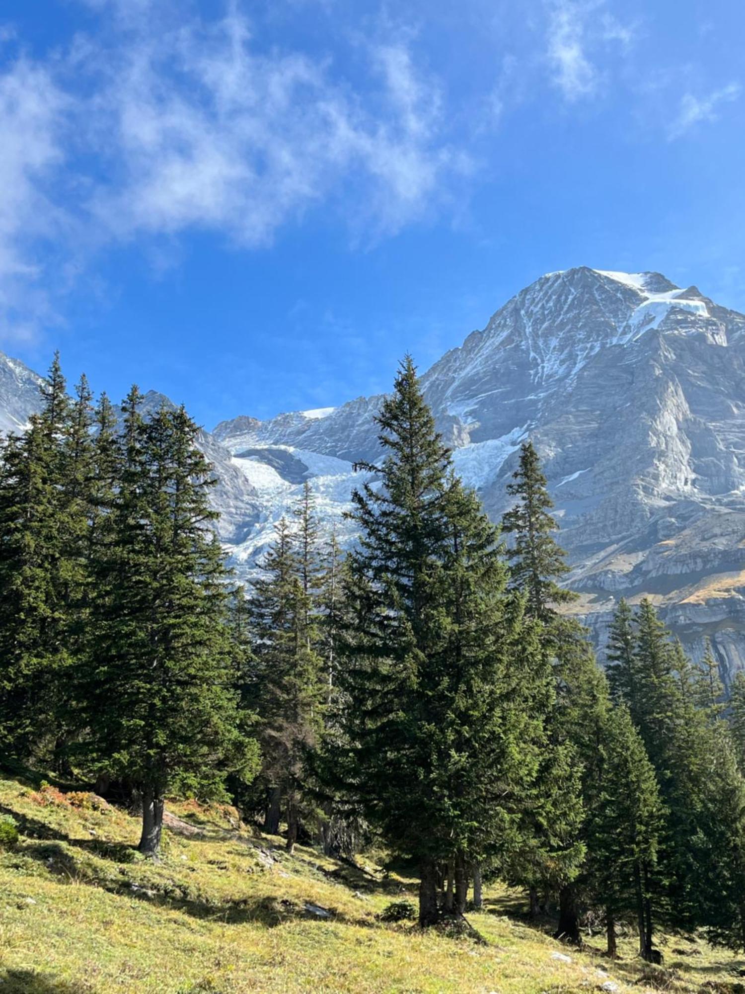 Chalet Viola Wengen Kültér fotó