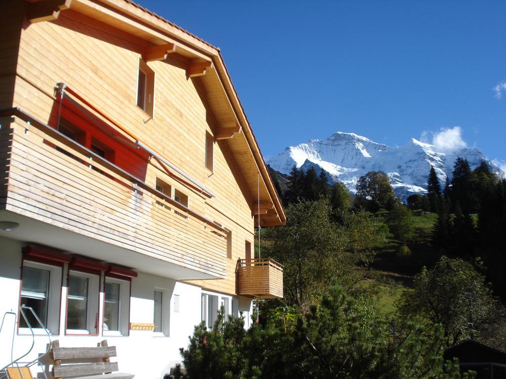 Chalet Viola Wengen Kültér fotó