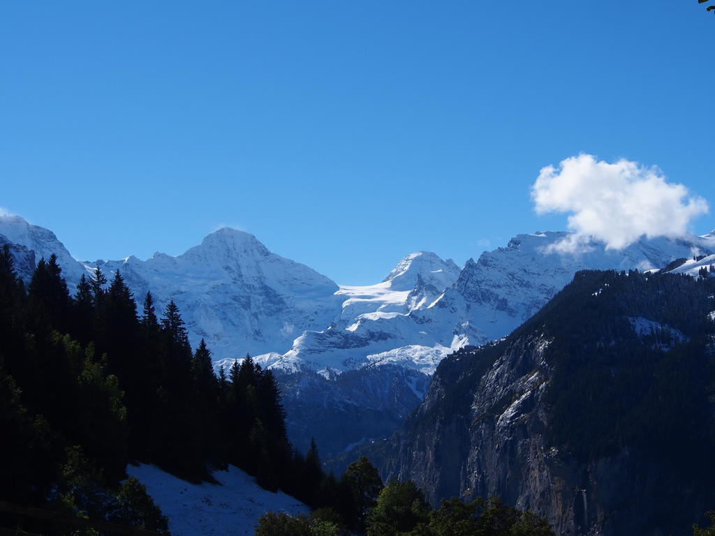 Chalet Viola Wengen Kültér fotó