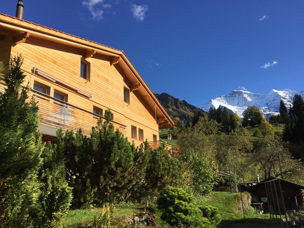 Chalet Viola Wengen Kültér fotó